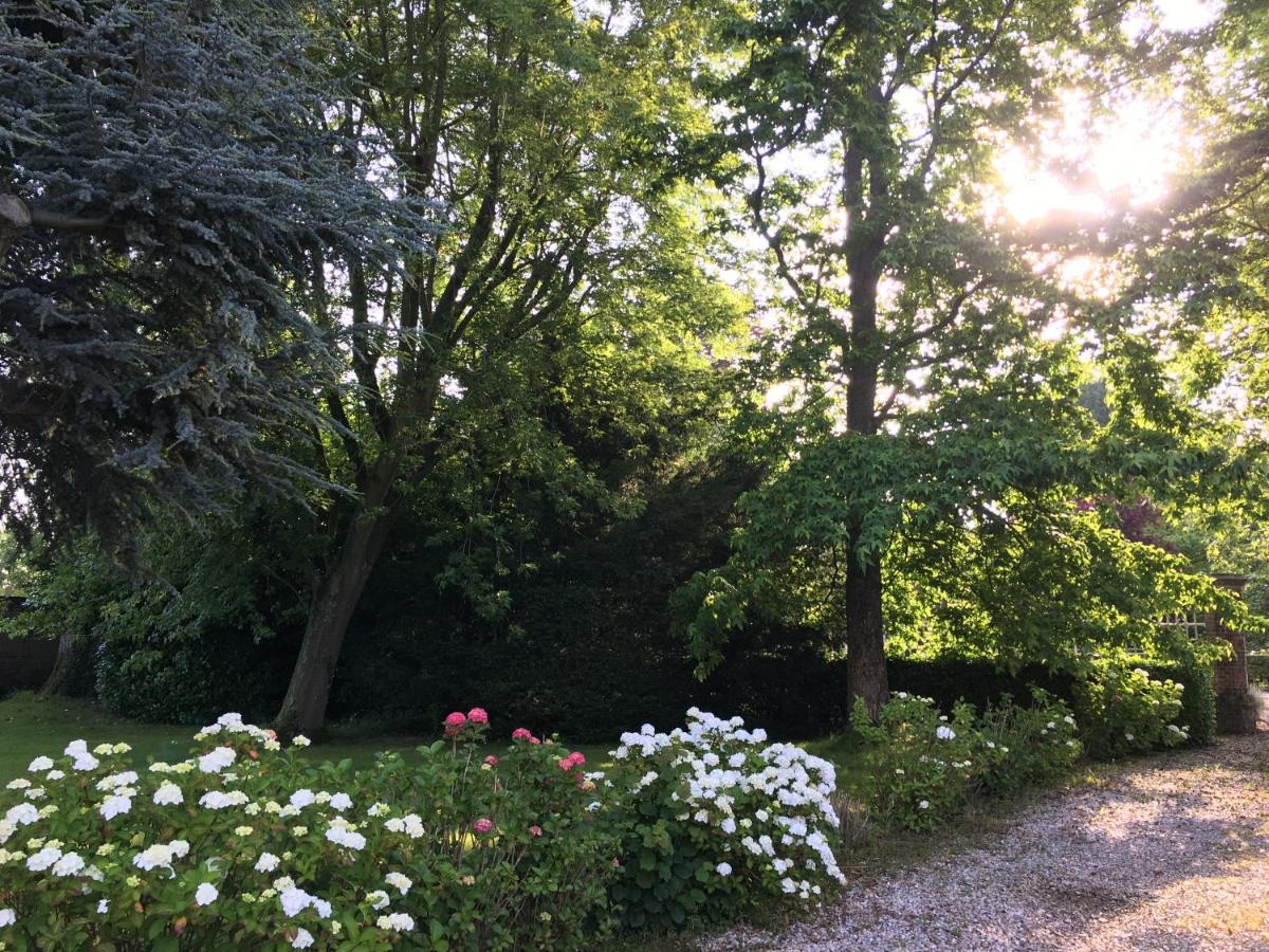 Les Jacquemarts Normands Maison D'Hotes - Guesthouse Belmesnil Exteriör bild